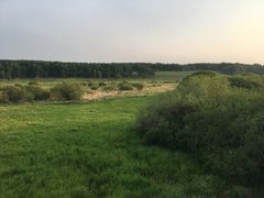 -塞罕坝国家级自然保护区