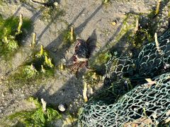 -北海金海湾红树林生态旅游区