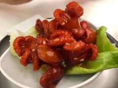 芝麻八爪鱼-元气寿司(金光华店)