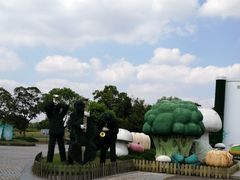 -上海都市菜园