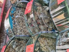 -东来菜馆•手抓海鲜家常菜•海鲜锅贴(鸽子窝店)