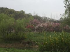 -南山风景名胜区