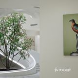 昆明看展｜新晋树影艺术中心也太太太出片啦