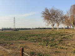 -汉长安城未央宫国家考古遗址公园