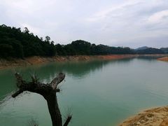 -广州市流溪河国家森林公园