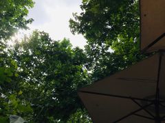 景观位-Ginger(兴国路店)
