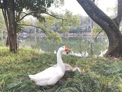 -台州府城(东湖)