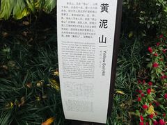 -柳侯公园