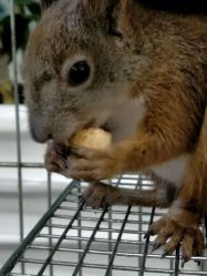 -周忆刺青原创设计定制