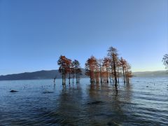 -大理洱海