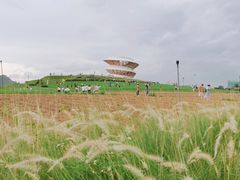 -光明小镇欢乐田园