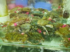 -四海鲜渔家菜(黄金海岸店)