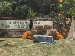 -欢乐松鼠谷