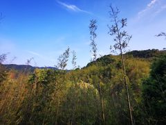 -宁海安岚·南溪阁全日餐厅