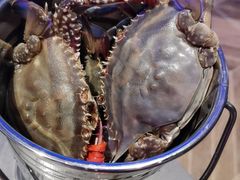 -一方渔歌蒸汽海鲜自助(文化路万达广场店)