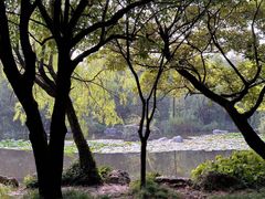 -上海吴淞炮台湾国家湿地公园