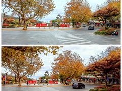 -庐山恋影院(河西路店)