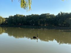 -东华大学(松江校区)
