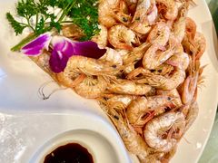 -海派美食·家宴海鲜青岛菜·石锅鲽鱼头(东方城店)