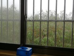 -小六农家乐(崇明西沙湿地店)