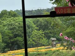 -常德桃花源景区