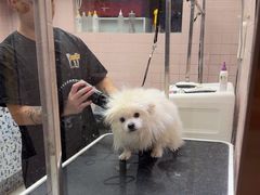 -FAELING PETS美天灵宠物(富力广场店)