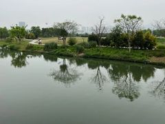 -三垟湿地