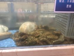 -双井轩·宴会厅