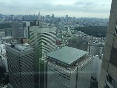 -六本木新城展望台(东京城市景观)