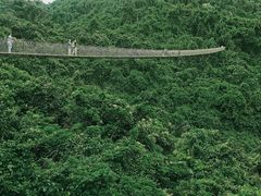 -亚龙湾热带天堂森林公园