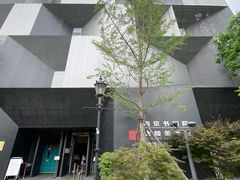 -南京书画院金陵美术馆