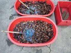 -老北京涮羊肉·龙虾.烧烤(江镇店)