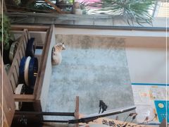 -花十悦·鲜花咖啡餐厅(振业城一期店)
