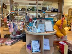 -Pets First伊珊娜洗护·精致美容·家庭式寄养(新会路店)