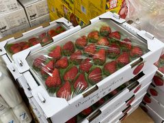 -牛奶便利(东四店)