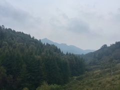 -驼梁风景区