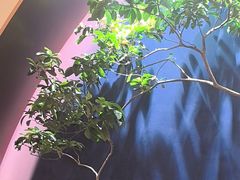 -双湖宴·湖北菜(文化路店)