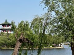 -莱西月湖公园