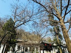 -南山风景名胜区