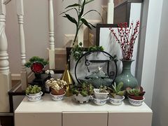 -静 泰养生(黄金城道店)