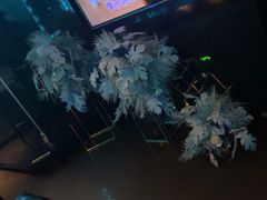 -黑桃K生日订制KTV
