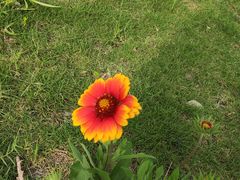 -树夏(建设路店)