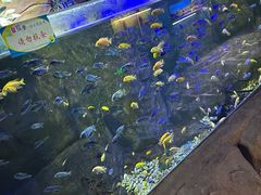 -嘉兴海底世界