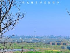 -北京西山国家森林公园