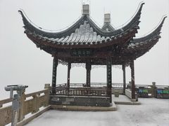 -树山生态村