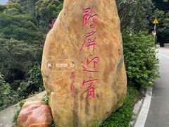 -梧桐山风景名胜区