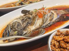 -碧丽宫大酒店(召稼楼店)