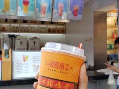 西江雪·金研奶盖-鸡鸣赐茶(鸡鸣寺路店)