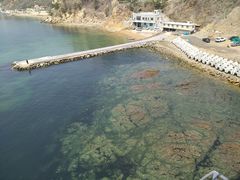 -星海湾跨海大桥