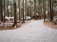 -重庆睡佛山森林公园